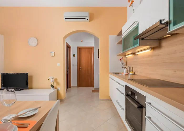 Rona Jm 38 보드냔