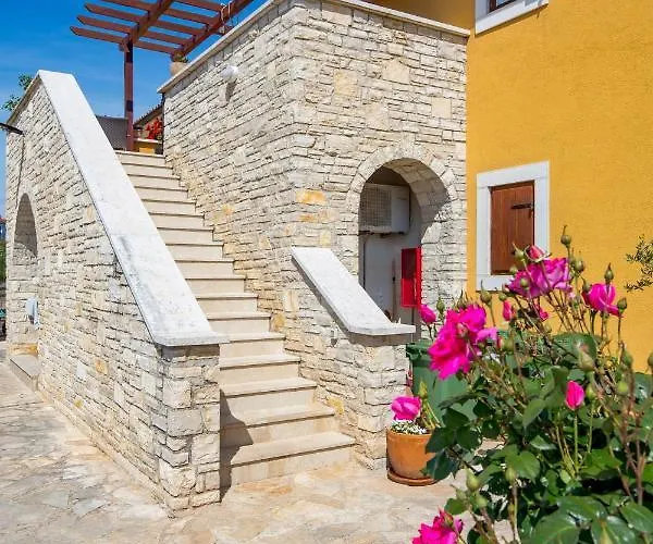 Rona Jm 38 보드냔